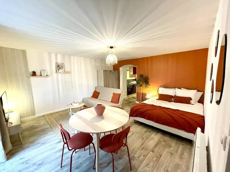 Appartement Grand Studio Chez Soi - Queen Size Bed - Terrasse Oyonnax France